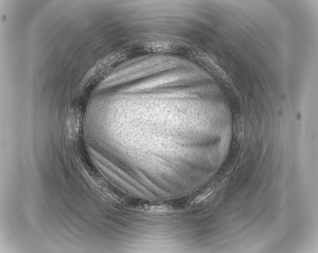 X0000087550645200705112122