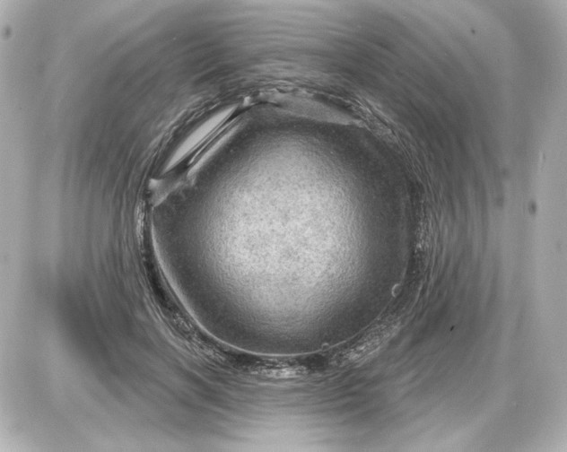 X0000087550646200705112122