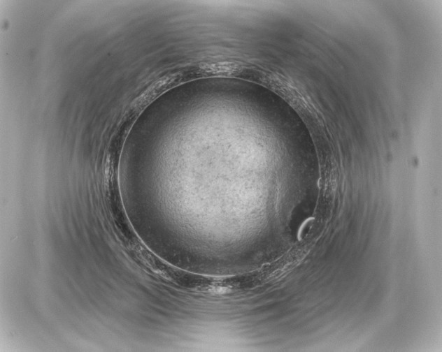 X0000087550647200705112122