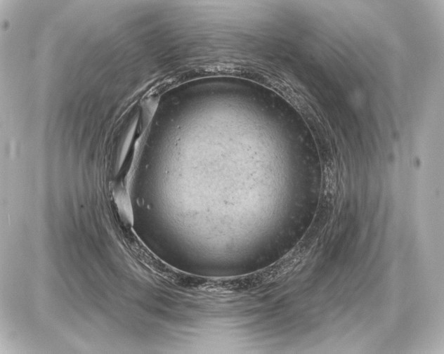 X0000087550648200705112122