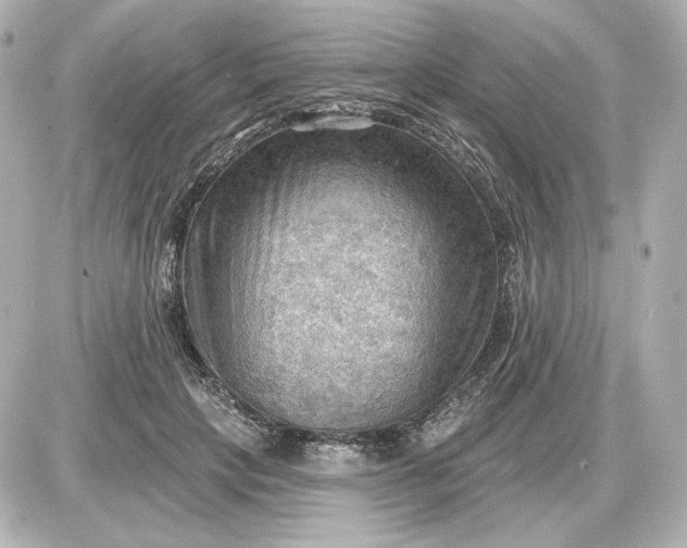 X0000087550649200705112122