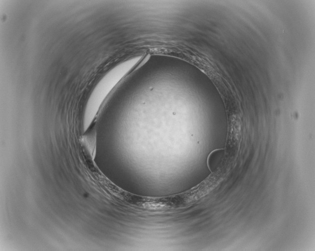 X0000087550650200705112122