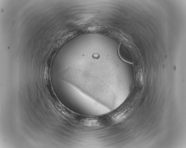 X0000087550651200705112122