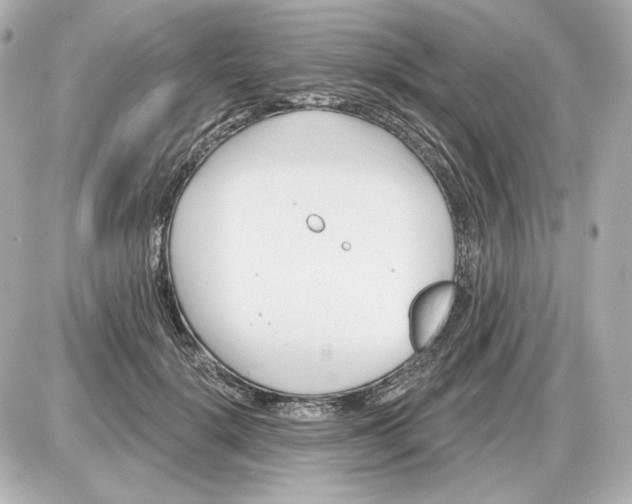 X0000087550652200705112122