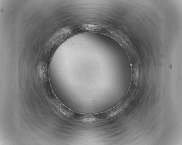 X0000087550653200705112122