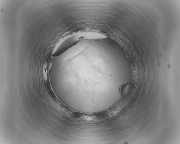 X0000087550654200705112122