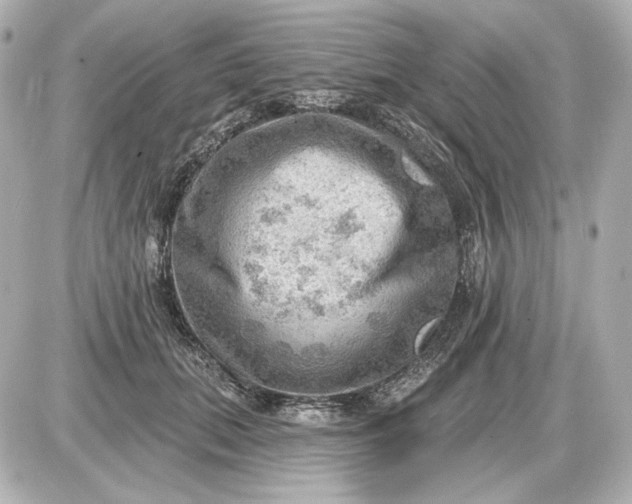 X0000087550655200705112122