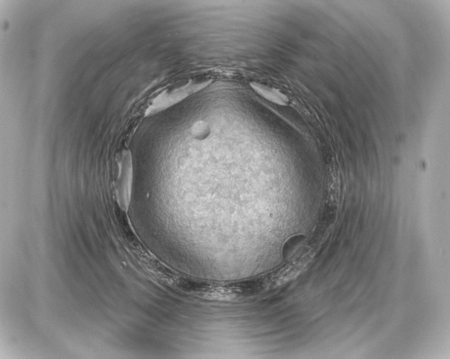 X0000087550656200705112123