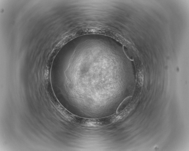 X0000087550657200705112123