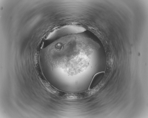 X0000087550658200705112123