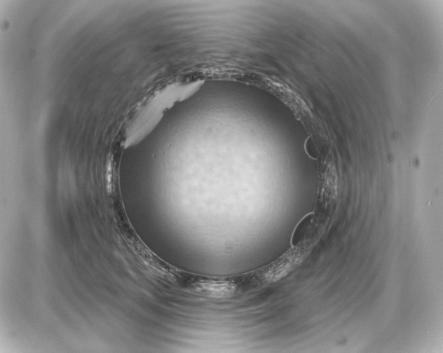 X0000087550659200705112123