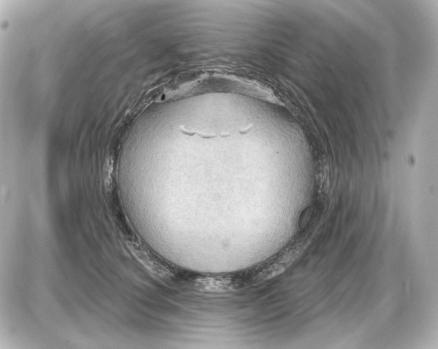 X0000087550660200705112123