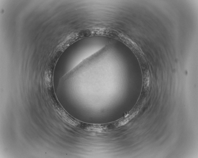 X0000087550661200705112123