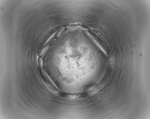 X0000087550662200705112123