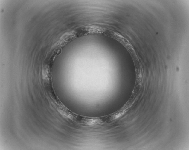 X0000087550663200705112123