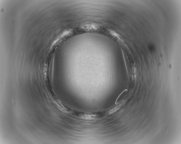 X0000087550664200705112123