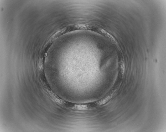 X0000087550665200705112123