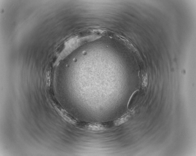 X0000087550666200705112123