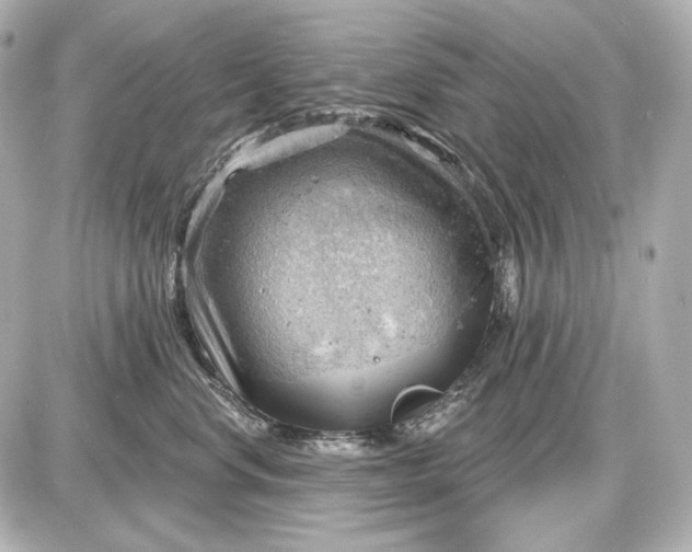 X0000087550668200705112123