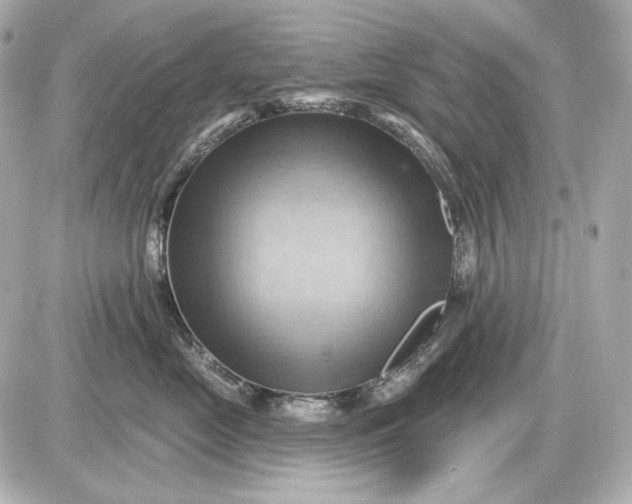 X0000087550669200705112123