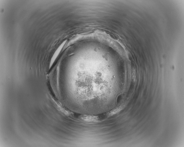 X0000087550670200705112123