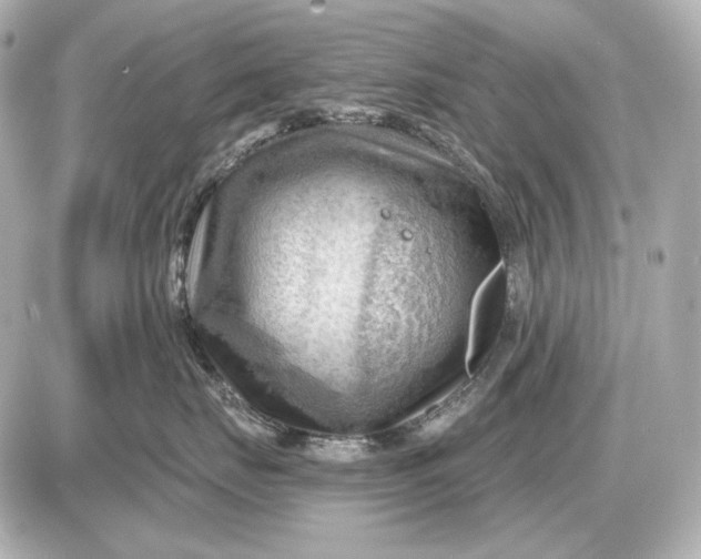 X0000087550671200705112123