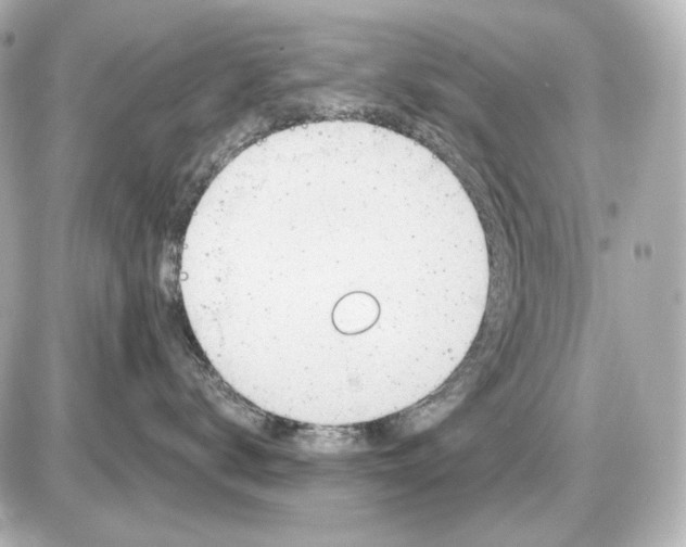 X0000087550672200705112123