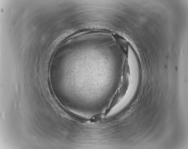 X0000087550673200705112122