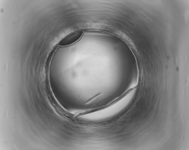 X0000087550674200705112122