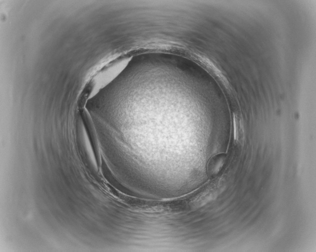 X0000087550675200705112122