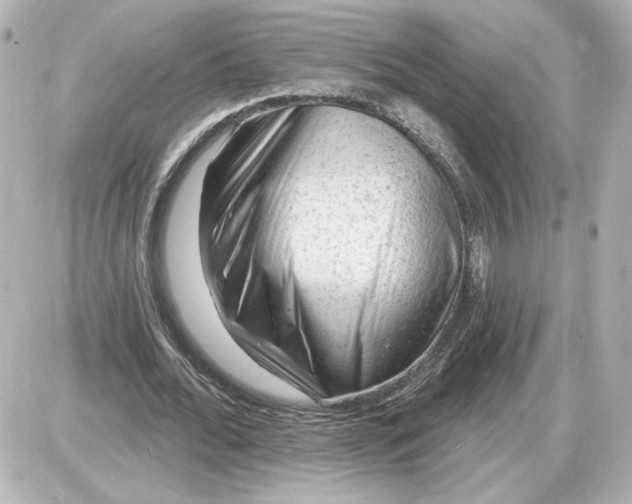 X0000087550676200705112122