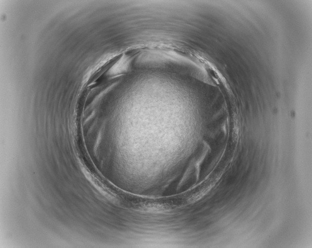 X0000087550677200705112122