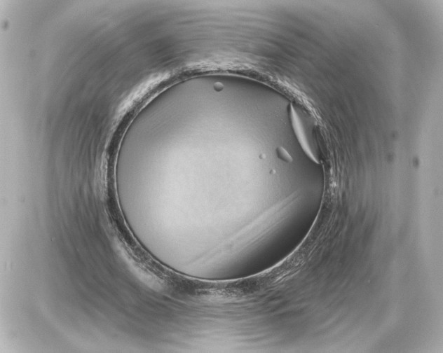 X0000087550678200705112122