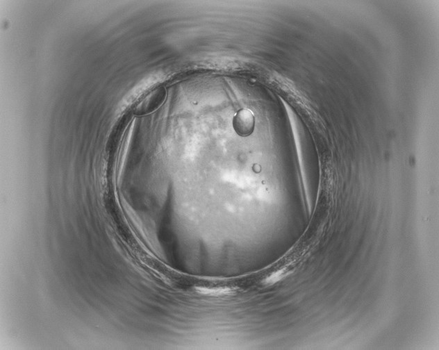 X0000087550679200705112122