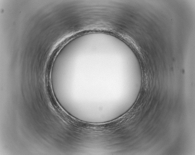 X0000087550680200705112122