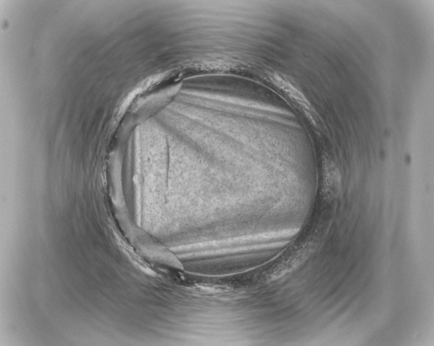 X0000087550681200705112122