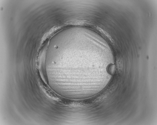 X0000087550682200705112122