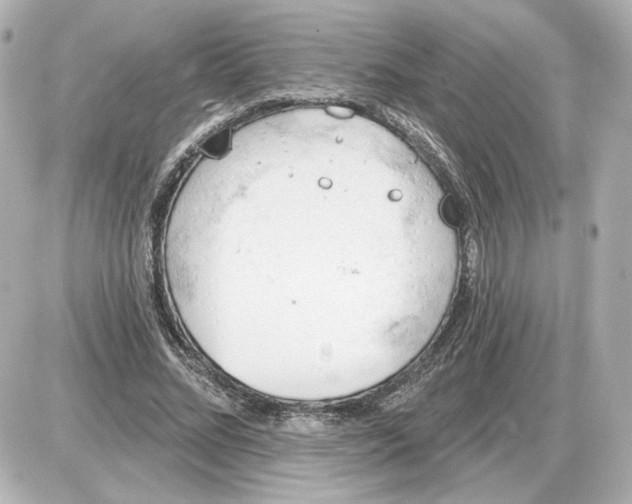 X0000087550684200705112122