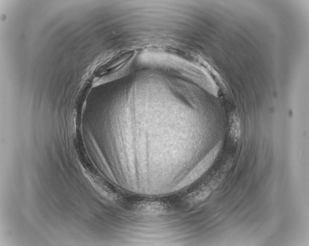 X0000087550685200705112122