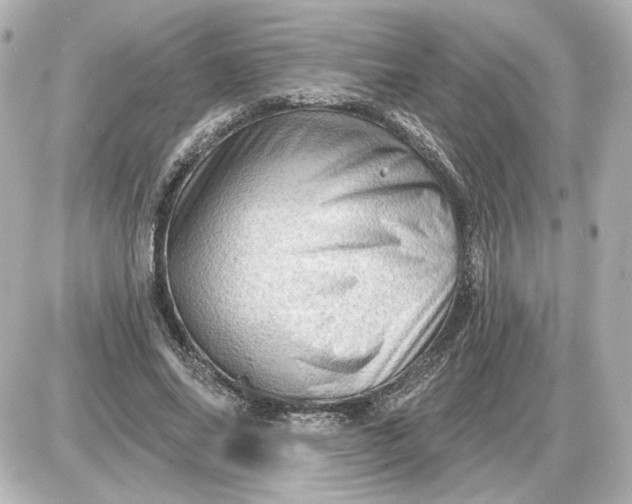 X0000087550686200705112122