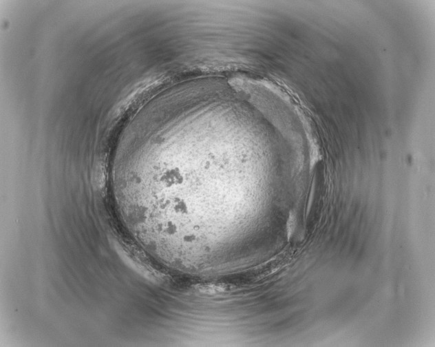 X0000087550687200705112122