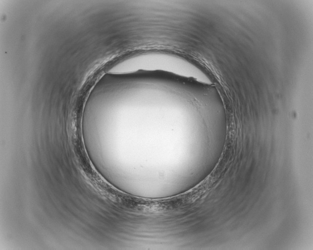 X0000087550688200705112122