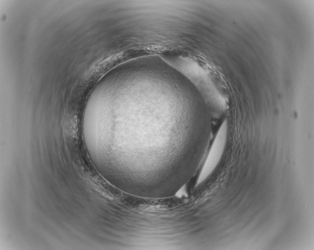 X0000087550689200705112122