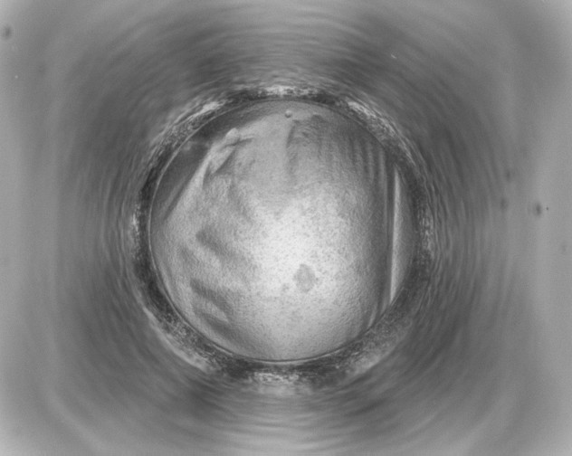 X0000087550690200705112122