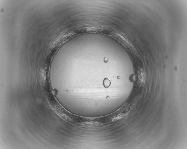 X0000087550691200705112122