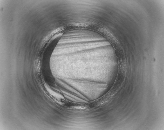 X0000087550692200705112122