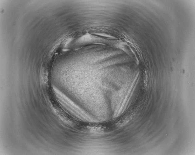 X0000087550693200705112122