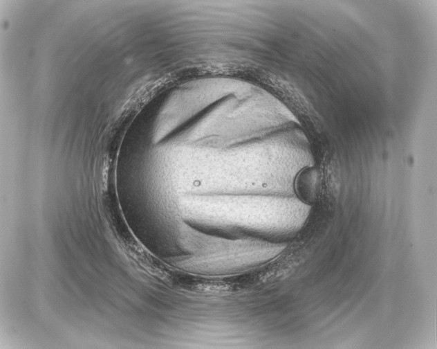 X0000087550694200705112122