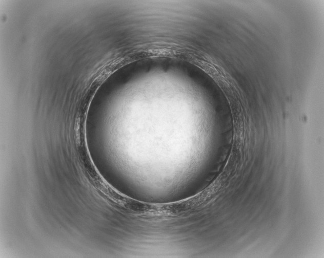 X0000087550696200705112122