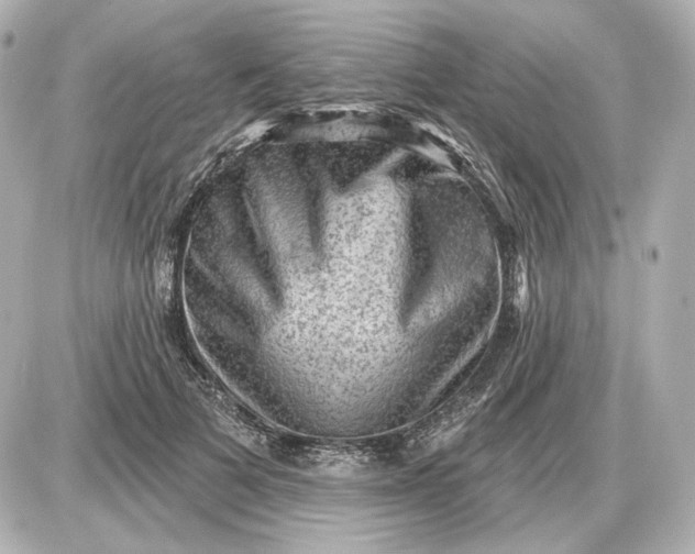 X0000087550697200705112122